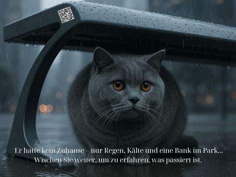 Stade Häuser, Stade Haus kaufen