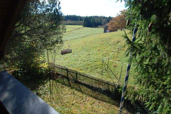 Ein Teil des Gartens