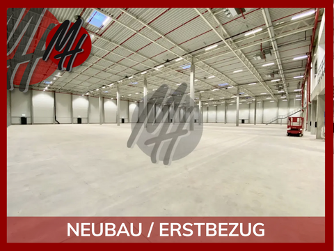 Bielefeld Halle, Bielefeld Hallenfläche