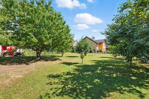 Bisamberg Häuser, Bisamberg Haus kaufen