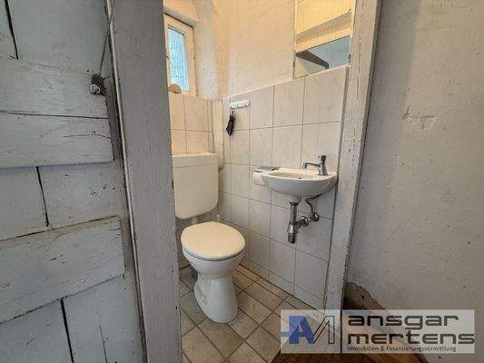 Gäste-WC / Kellerabgang