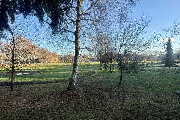 Blick über die Wiesen