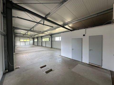 Erlangen Halle, Erlangen Hallenfläche