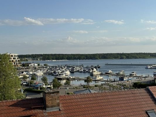 Ausblick im Sommer