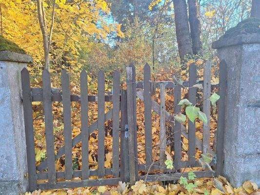 Blick auf das Grundstück