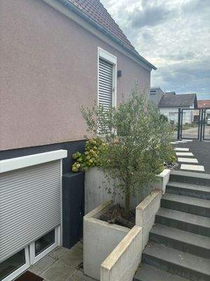 Keller Eingang aussen.jpg