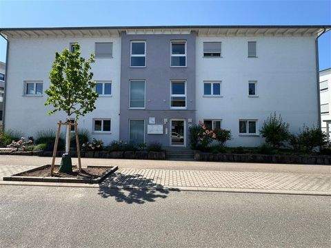 Rottenburg am Neckar Büros, Büroräume, Büroflächen 