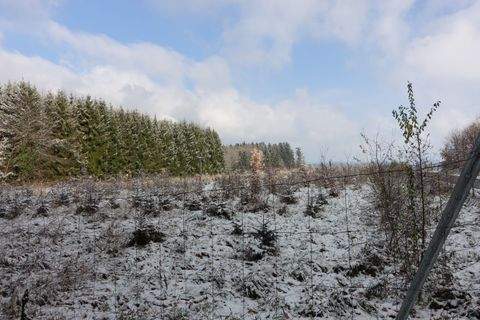 Schnaitsee Bauernhöfe, Landwirtschaft, Schnaitsee Forstwirtschaft