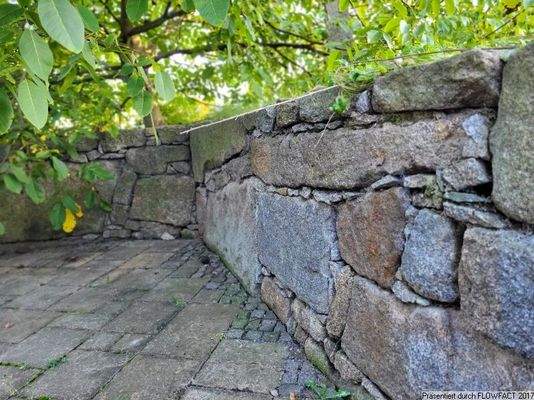 Detail Trockenmauer mit Nußbaum