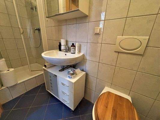 Gäste-WC mit Dusche