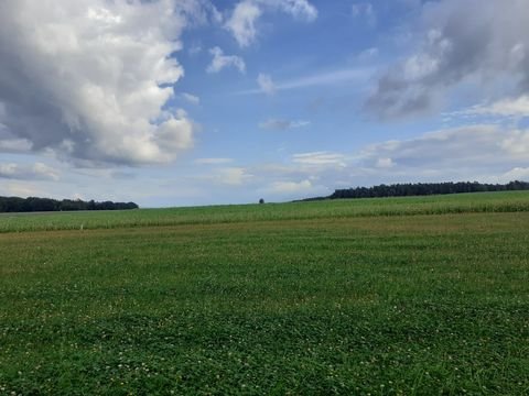 Nittenau Grundstücke, Nittenau Grundstück kaufen