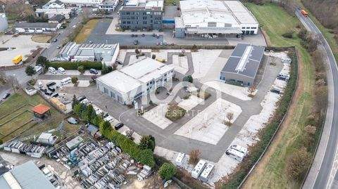 Wesseling Halle, Wesseling Hallenfläche