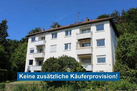 Hofheim am Taunus Wohnungen, Hofheim am Taunus Wohnung kaufen
