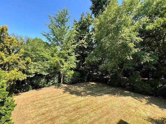 unverbauter Blick ins Grüne 