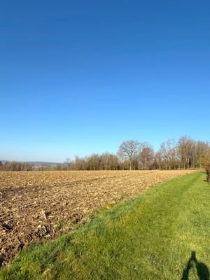 Umgebung