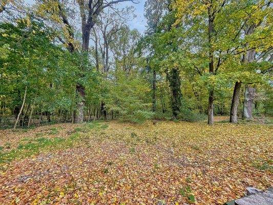 Waldpark beim Objekt