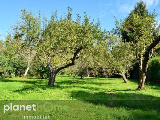 Traumhafter großer Garten_2