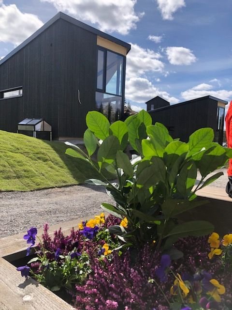Roa Häuser, Roa Haus kaufen