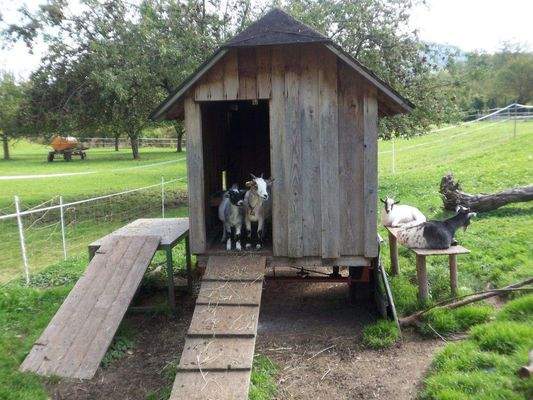 Wir wohnen bereits im Holzhaus