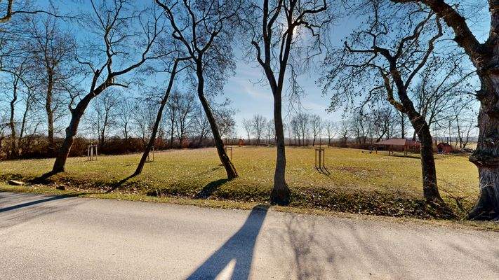 Blick in die Natur.jpg