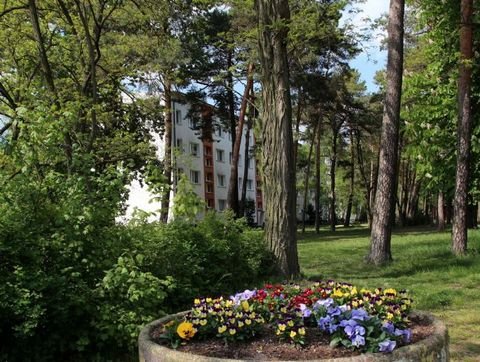 Niedergörsdorf Wohnungen, Niedergörsdorf Wohnung mieten