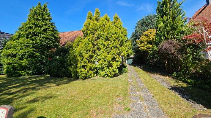 Frontansicht von Straße.jpg