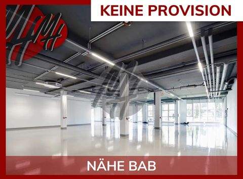 Friedrichsdorf Halle, Friedrichsdorf Hallenfläche