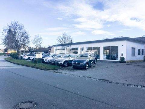 Frasdorf Halle, Frasdorf Hallenfläche