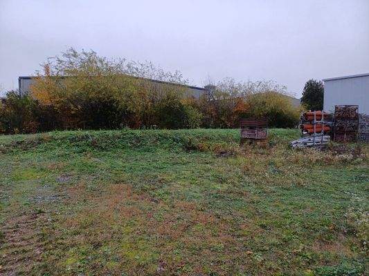 5. Freifläche hinten