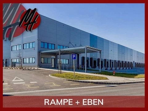 Langenselbold Halle, Langenselbold Hallenfläche