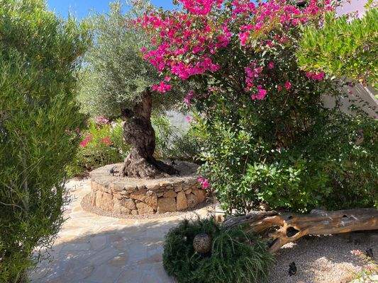 WhatsApp Bild 2025-10-05 um 19.52.30_d7919393.jpg