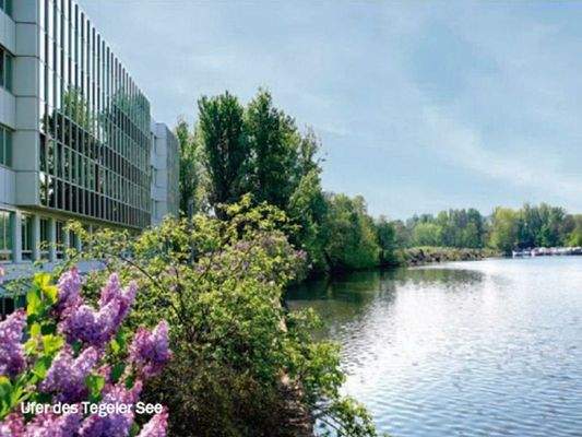 Ausblick vom Office Dock auf Tegeler See