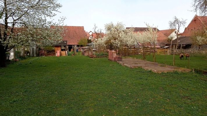 Großes Gartengrunstück  direkt  am Haus 