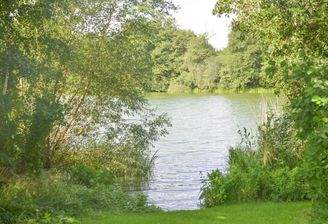 9021PE-05 Molfsee nur 50 m entfernt