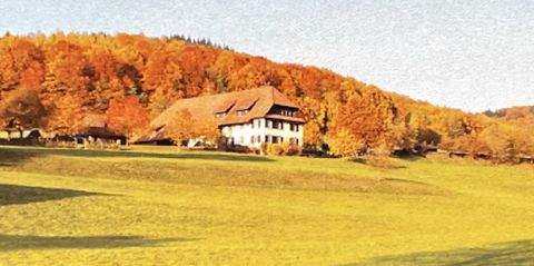 Sexau Häuser, Sexau Haus kaufen