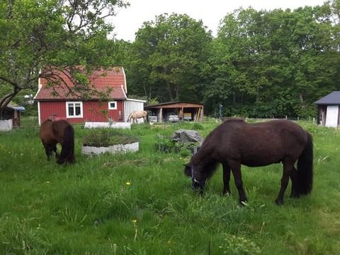 Svengsta Häuser, Svengsta Haus kaufen