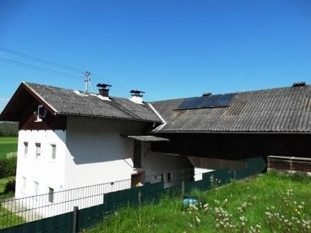 Bild 31