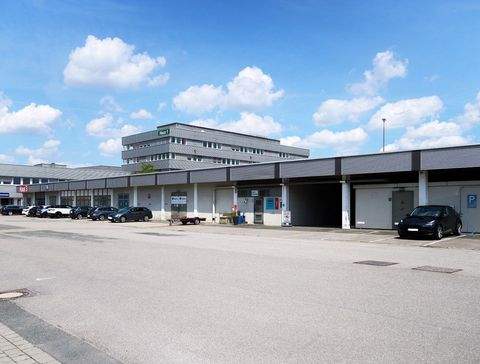 Hannover Halle, Hannover Hallenfläche