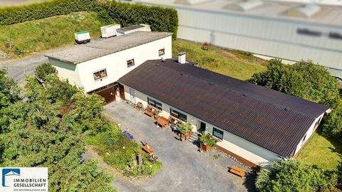 Alpenrod Halle, Alpenrod Hallenfläche