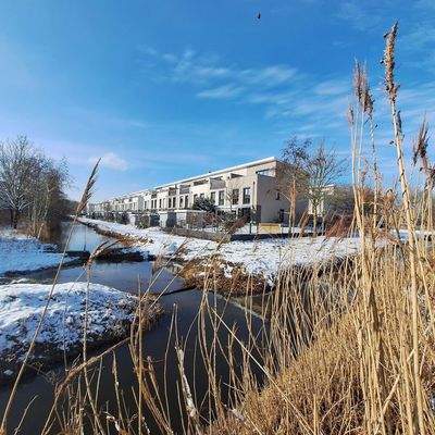 Winterimpressionen - Südseite