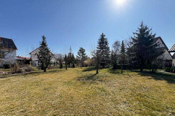 Großer gepflegter Garten_