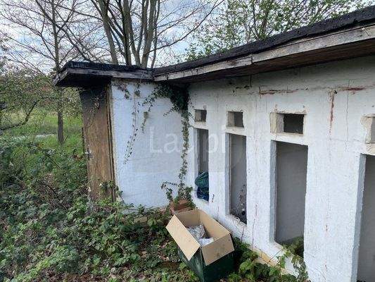 010_P-13693 _Wochenendgrundstueck_Schmiedeberg_Due