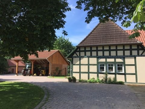 Martfeld / Kleinenborstel Häuser, Martfeld / Kleinenborstel Haus kaufen