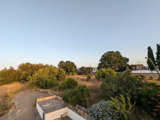 Blick auf den Garten