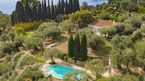 Roquebrune-Cap-Martin Häuser, Roquebrune-Cap-Martin Haus kaufen