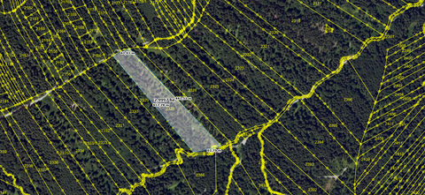 Waakirchen Bauernhöfe, Landwirtschaft, Waakirchen Forstwirtschaft