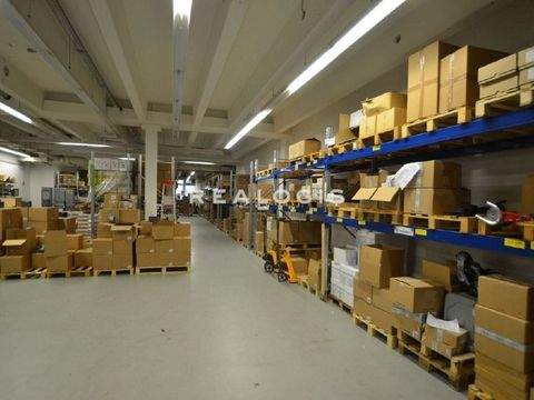 Hamburg Halle, Hamburg Hallenfläche