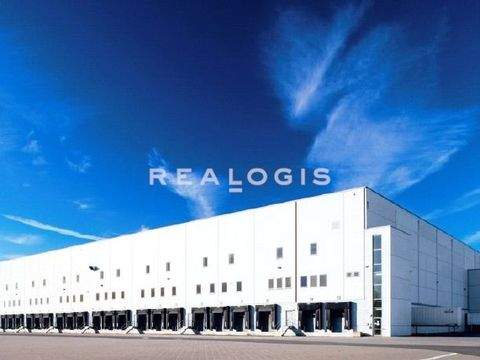 Brieselang Halle, Brieselang Hallenfläche