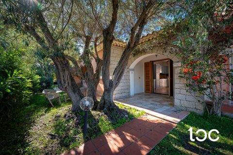 San Teodoro Häuser, San Teodoro Haus kaufen