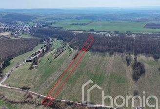 Blick nach Süd-Osten